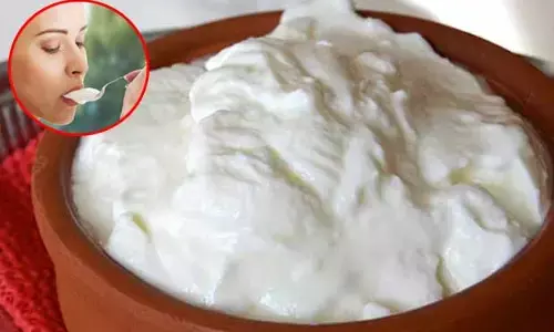 Winter and Yoghurt : చలికాలంలో పెరుగు తింటే నిజంగానే జలుబు చేస్తుందా?