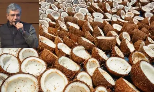 Copra : కొబ్బరికి కనీస మద్దతు ధరలు పెంపు..  కేంద్ర క్యాబినెట్ భేటీలో నిర్ణయం