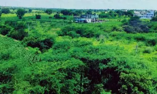 Parigi: బోటింగ్ సాధ్యమేనా..? ప్లాట్లు తిరిగి చెరువుగా మారేనా?