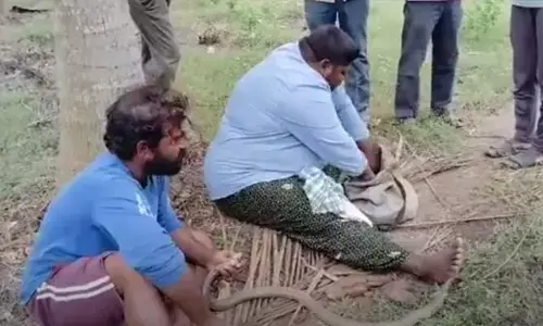 Viral: పాము తల నుంచి బయటపడ్డ  రాళ్లు..  ఎగబడి మరీ కొనుగోలు చేసిన రైతులు?