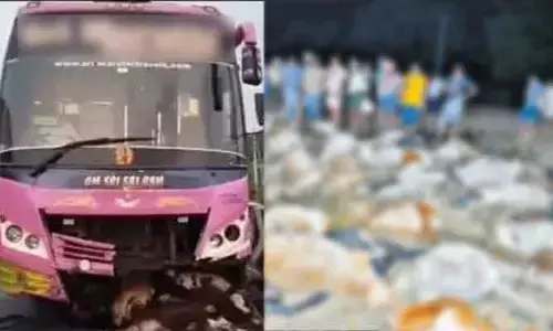అద్దంకి-నార్కెట్‌పల్లి రోడ్డుపై ఘోరం.. 150 గొర్రెల మృతి