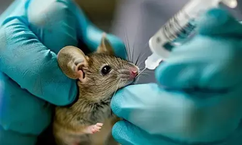 Medical Experiments: వైద్యులు ప్రయోగాలన్నీ ఎలుకలపైనే ఎందుకు చేస్తారో తెలుసా!