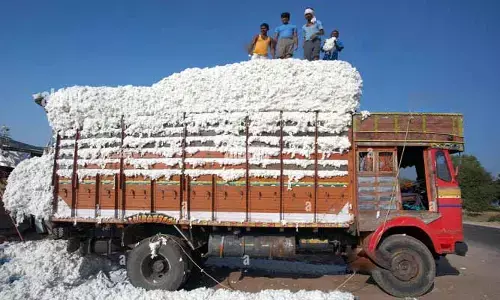 Bainsa: ఇక్కడి రైతుల పేరిట మహారాష్ట్ర పత్తి విక్రయం