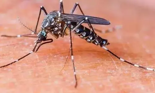 Malaria free: 2030 నాటికి మలేరియా రహిత భారత్.. ఆరోగ్య మంత్రిత్వ శాఖ