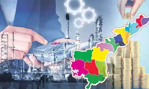 నెల్లూరు, విశాఖ ప్రజలకు గుడ్ న్యూస్.. భారీగా పెట్టుబడులు పెట్టనున్న పారిశ్రామికవేత్తలు