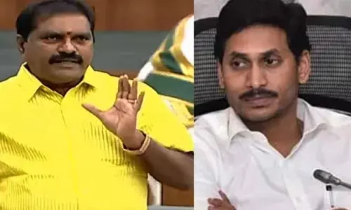 AP News:‘ఆ ధర్నాలేవో జగన్ ఇంటి ముందు చేయండి’.. మంత్రి నిమ్మల సంచలన వ్యాఖ్యలు