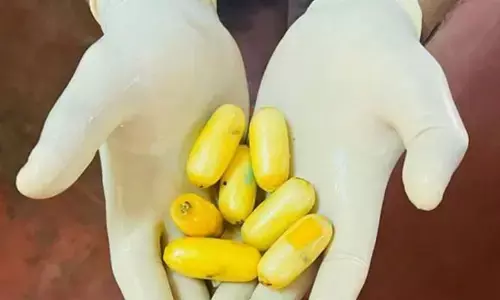 Drugs Seiz : ముంబైలో రూ.12 కోట్ల విలువైన డ్రగ్స్ పట్టివేత