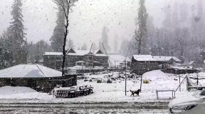 Himachal Pradesh: హిమాచల్ ప్రదేశ్ కు పెరిగిన పర్యాటకులు.. వారంలోనే 30 వేల మంది సందర్శన Himachal Pradesh: హిమాచల్ ప్రదేశ్ కు పెరిగిన పర్యాటకులు.. వారంలోనే 30 వేల మంది సందర్శన