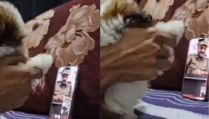 Cyber Crimes: స్కామ్ చేద్దాం అని కాల్ చేసిన వ్యక్తికి షాక్.. నెట్టింట వీడియో వైరల్ Cyber Crimes: స్కామ్ చేద్దాం అని కాల్ చేసిన వ్యక్తికి షాక్.. నెట్టింట వీడియో వైరల్