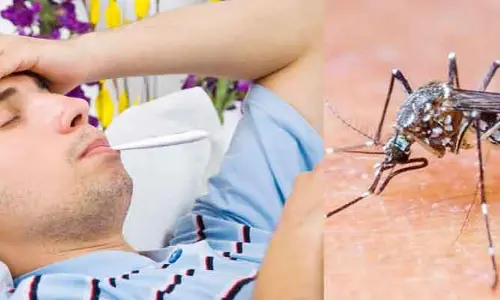 Malaria-Dengue: ఈ ఆకు మలేరియా, డెంగ్యూకు బెస్ట్ మెడిసిన్.. వీటితో పాటుగా..!