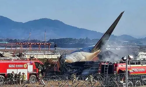 Plane Crash: 179కి చేరిన మృతుల సంఖ్య.. విమాన ప్రమాదానికి కారణమిదే!