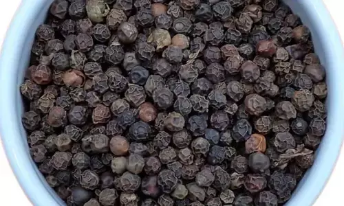 Black pepper: నల్ల మిరియాలు రోజు తీసుకుంటే ఏం జరుగుతుందో  తెలుసా..!