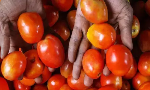 Vegitables: ఈ 3 కూరగాయలు వండేటప్పుడు తగిన జాగ్రత్తలు తీసుకోవాలంటున్న నిపుణులు