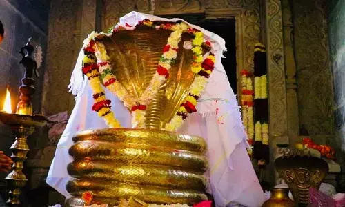 Nagoba Jathara : నాగోబా జాతరకు ముహూర్తం ఖరారు