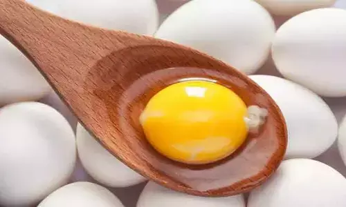 EGG: తెల్లసొన-పచ్చసొన.. జుట్టుకు ఏది మంచిది..?