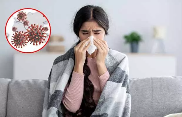 HMPV virus : కొత్త వైరస్ ప్రాణాంతకమా..? ఈ లక్షణాలు కనిపిస్తే జాగ్రత్త! HMPV virus : కొత్త వైరస్ ప్రాణాంతకమా..? ఈ లక్షణాలు కనిపిస్తే జాగ్రత్త!