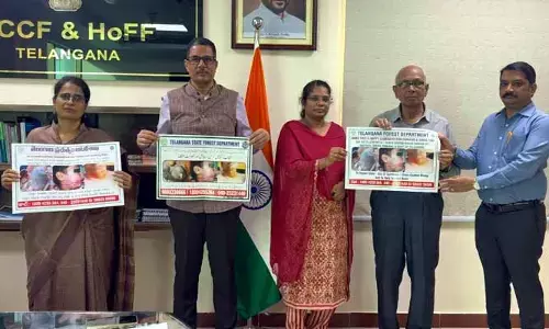 China Manza: అటవీ శాఖ సంచలన ప్రకటన.. చైనా మాంజా అమ్మితే జైలుకే!