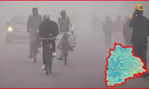 మరో వారం రోజులు రాష్ట్రాన్ని వణికించనున్న చలి పులి