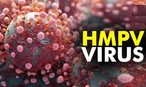 HMPV Virus: కంగారు పెట్టిస్తున్న హెచ్ఎంపీవీ వైరస్.. ఆ రాష్ట్రంలో రెండు కేసులు నమోదు