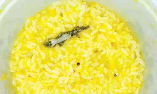 Balli : తినే ఆహారంలో బల్లి ప‌డితే అది విషంగా మారుతుందా..?.. షాకింగ్ నిజాలు చెప్పిన నిపుణులు