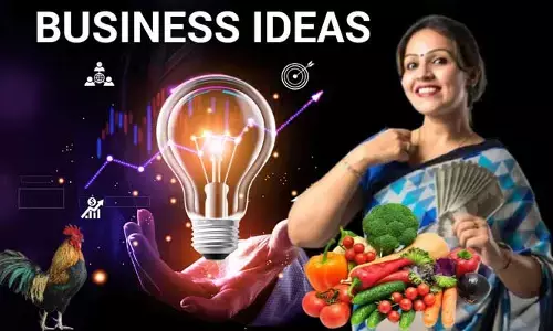 Business Ideas: మిమ్మల్ని ధనవంతులను చేసే బిజినెస్ ఐడియాలు ఇవే