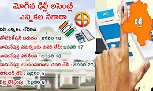 Delhi Assembly : ఢిల్లీ అసెంబ్లీ ఎన్నికల నోటిఫికేషన్ విడుదల