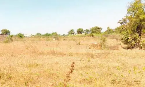 Siricilla: అక్రమంగా ప్రభుత్వ భూమి పట్టా