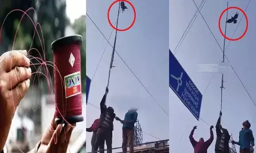 China manja: మీ సరదా కొందరికి శాపం.. చైనా మాంజాకు చిక్కుకుని కాకి విలవిల