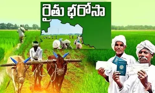 Raithu Bharosa: అన్నదాతలకు భారీ గుడ్ న్యూస్.. రైతు భరోసా మార్గదర్శకాలు విడుదల