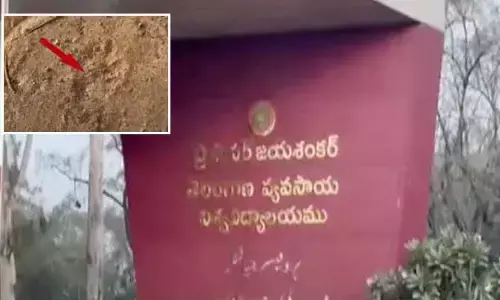Cheetah: రాజేంద్రనగర్‌లో చిరుత కలకలం.. తీవ్ర భయాందోళనలో స్థానికులు