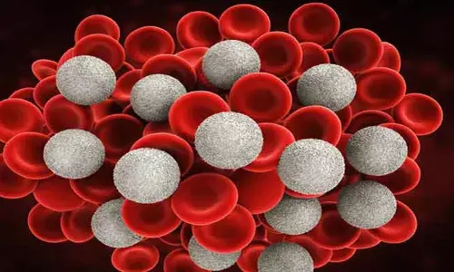 Blood cells: తెల్ల రక్త కణాలు మనకు ఏ విధంగా మేలు చేస్తాయి..?
