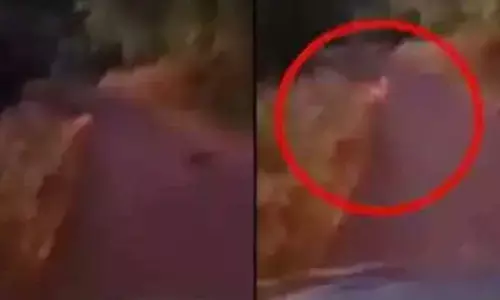ఆ మార్గంలో వెళ్తున్న ఆర్టీసీ బస్సు.. హఠాత్తుగా ఎదురైన ఆకారాన్ని చూసి వణికిపోయిన ప్రయాణికులు!