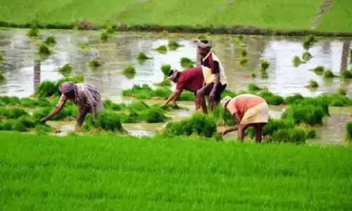 TG Govt: రైతుభరోసా పథకంలోని ముఖ్యాంశాలు