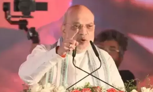 Amit Shah: శరద్ పవార్ కుట్ర రాజకీయాలను బీజేపీ అంతం చేసింది: అమిత్ షా