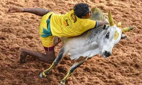 Jallikattu: జల్లికట్టు పోటీలు ప్రారంభం.. విజేతకు కారు బహుమతి
