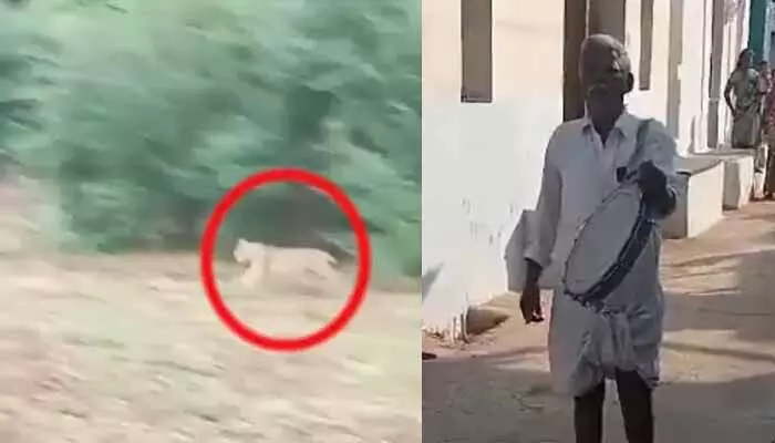Cheetah: పంట పొలాల్లో చిరుత కలకలం.. చట్టుపక్కల గ్రామాల్లో అధికారుల దండోరా Cheetah: పంట పొలాల్లో చిరుత కలకలం.. చట్టుపక్కల గ్రామాల్లో అధికారుల దండోరా
