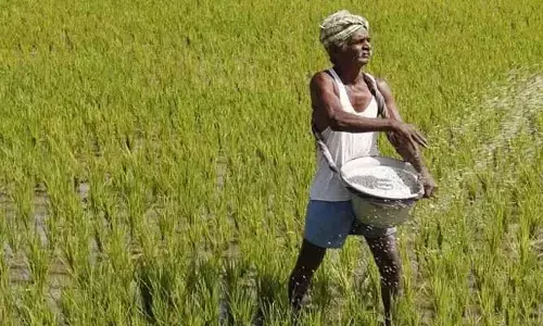 యాసంగికి ఎరవుల కొరత లేకుండా సర్కార్ చర్యలు