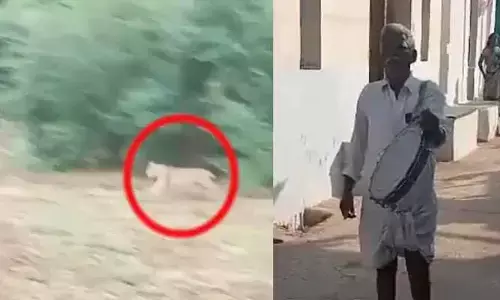 Cheetah: పంట పొలాల్లో చిరుత కలకలం.. చట్టుపక్కల గ్రామాల్లో అధికారుల దండోరా