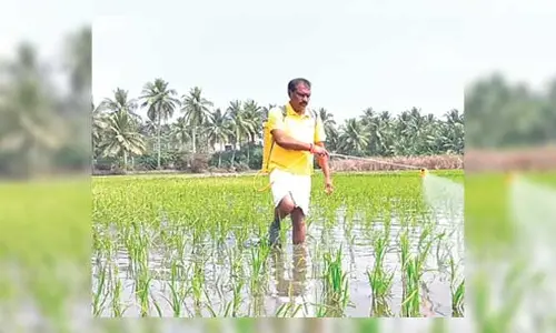 AP News : హలో.. అతను రైతు కాదు.. రాష్ట్ర మంత్రి