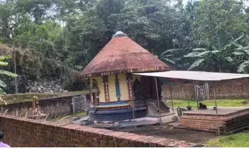 living Grave : ఆ సమాధి తవ్వాల్సిందే : కేరళా హైకోర్టు