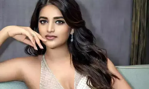 Nidhi Agarwal: ఆ ఇద్దరు స్టార్ హీరోల కారణంగా నిద్రలేని రాత్రులు గడిపాను.. వైరల్‌గా యంగ్ హీరోయిన్ కామెంట్స్