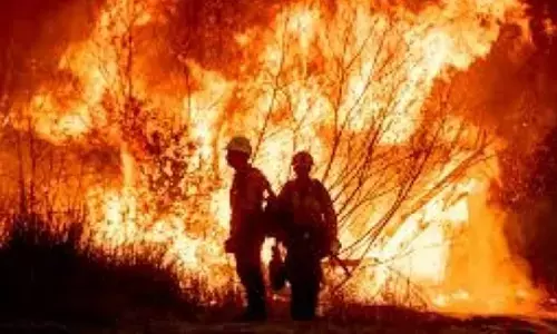 Wild Fire.. ఈ పాపం ఎవరిది పుష్పా.?