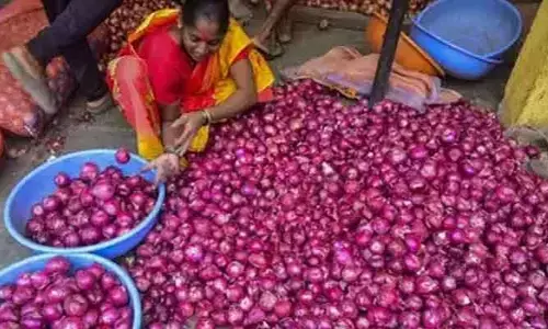 Onion Rates: మళ్లీ ఉల్లి ధరలకు రెక్కలు.. కిలో ఎంతంటే..!