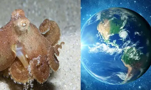 Earth: మానవ జాతి అంతం అయ్యేది అప్పుడే.. మన తర్వాత భూమిని పరిపాలించేది ఎవరంటే?