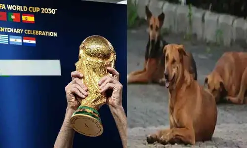 Dogs Killed : ఫిఫా వరల్డ్ కప్ కోసం..30లక్షల కుక్కల హతం!