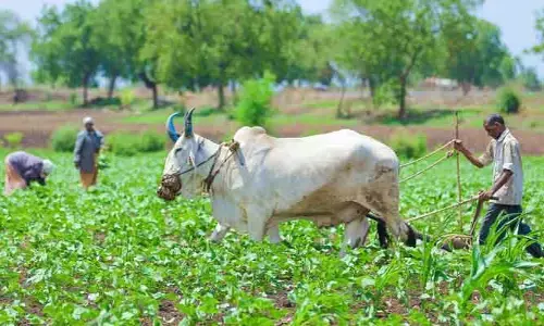 రైతులకు గుడ్ న్యూస్.. ఫ్రీ కరెంట్ కంటిన్యూ