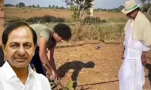 KCR: గులాబీ బాస్.. బిందాస్! ఫాం హౌజ్‌లో మనవడికి వ్యవసాయ పాఠాలు