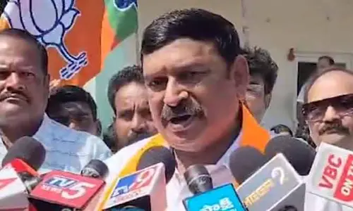 BJP: ఏపీలో సీఎం, డిప్యూటీ సీఎంల వివాదం.. బీజేపీ ఎమ్మెల్యే సంచలన వ్యాఖ్యలు