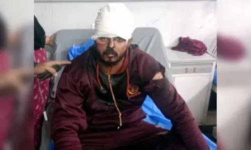 TikToc Went Wrong : సింహంతో టిక్ టాక్స్ వద్దు.. ఇంతకీ ఏమైందంటే..?