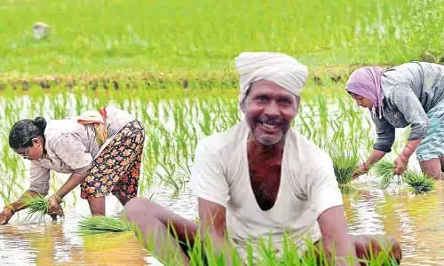 TG Farmers: సన్న వడ్ల సాగుకు అన్నదాతలు ‘సై’.. రూ.500 బోనస్‌‌తో పెరుగుతోన్న ఆసక్తి